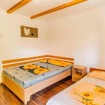 Vendégház Casa Dexter 3*