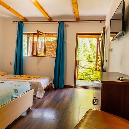 Pensión Casa Dexter Vama Veche