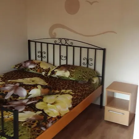 Pensión Casa Dexter Vama Veche