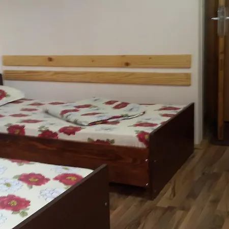 Casa Dexter Konukevi Vama Veche